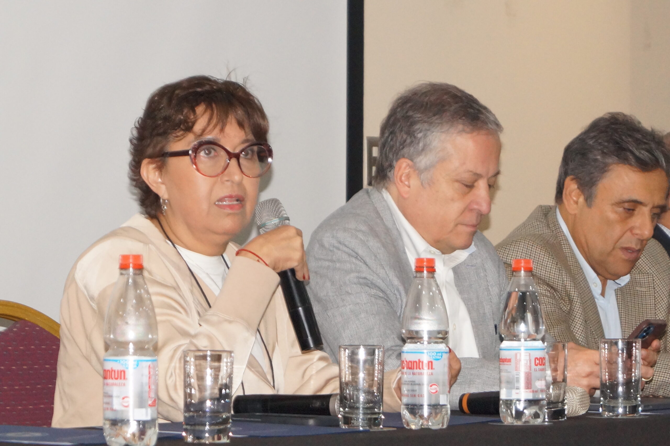 Directora, Gaby Hernández Soto - Copiapó